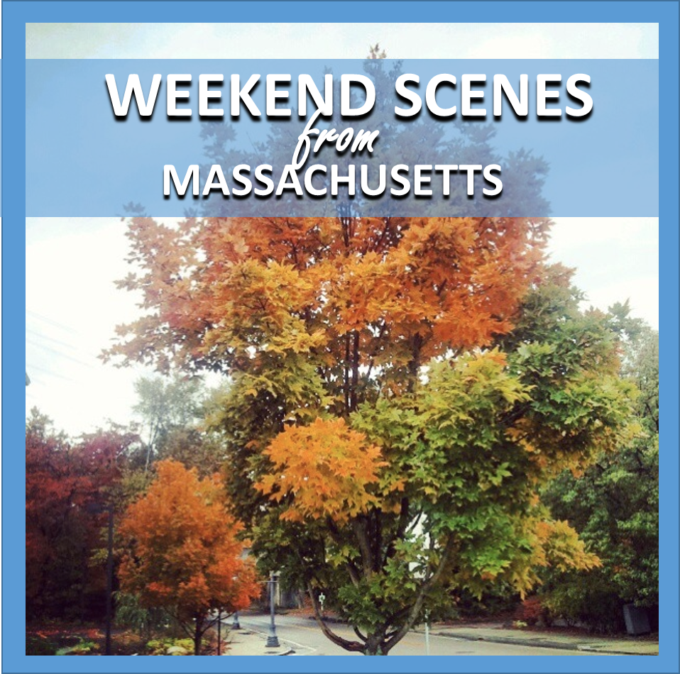 weekend scenes: from massachusetts // cait's plate