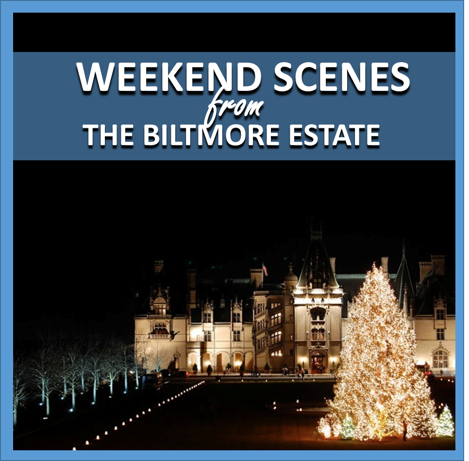 weekend scenes: from the biltmore estate // cait's plate