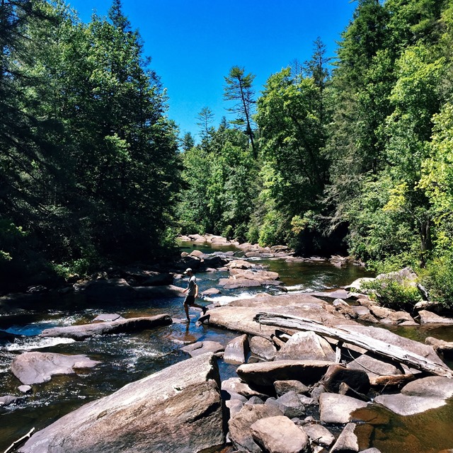 weekend scenes: dupont state park waterfall hike // cait's plate