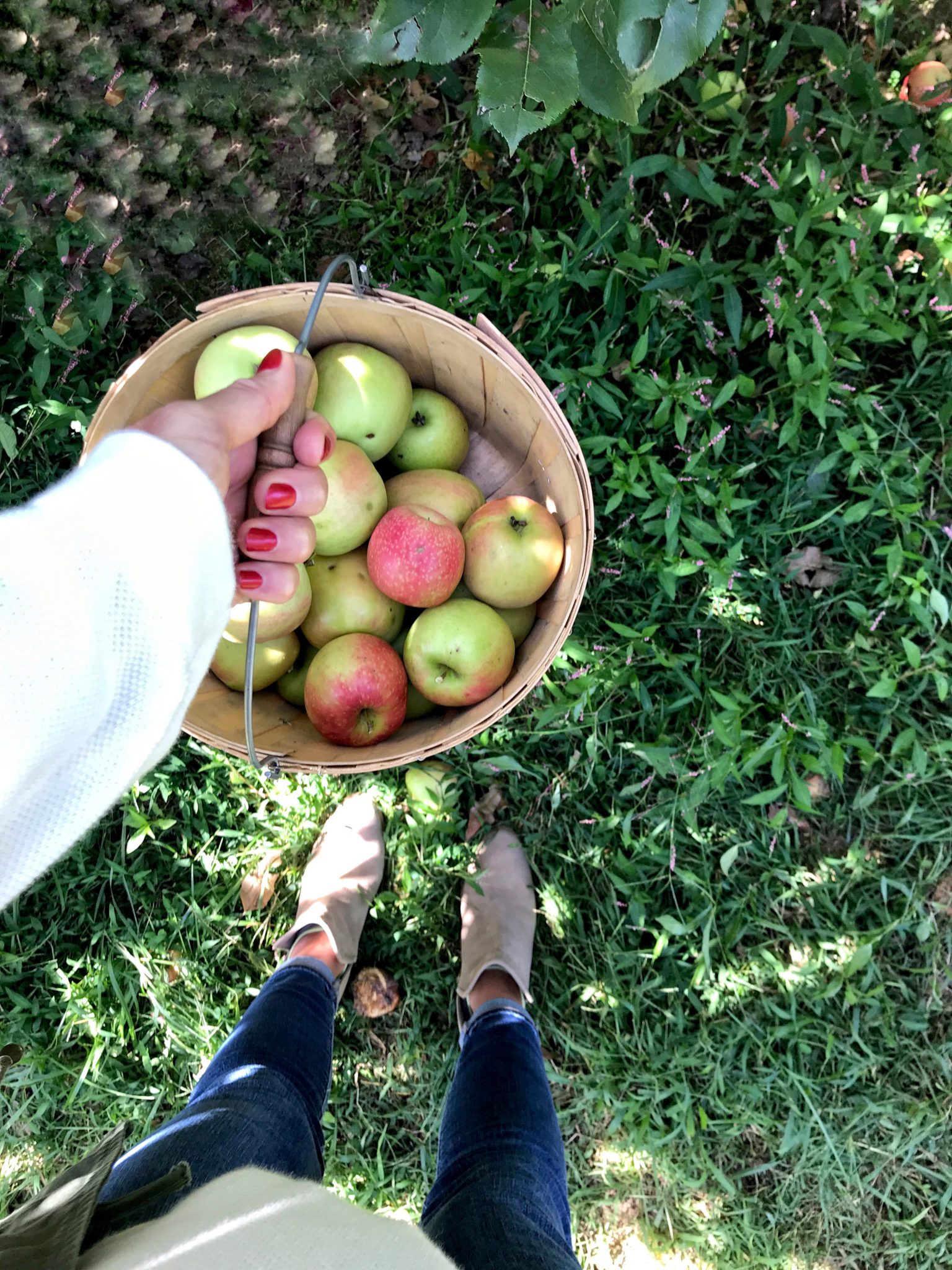 annual apple picking trip // cait's plate
