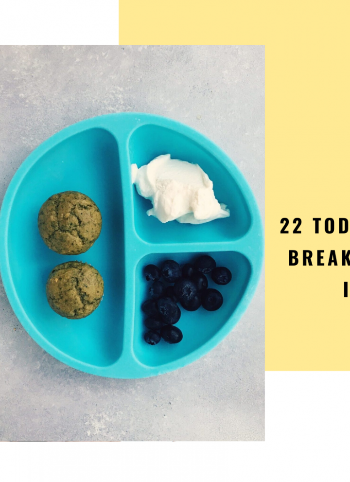 22 Toddler Breakfast Ideas // Cait's Plate