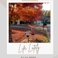 life lately: 11.14.2022 // cait's plate