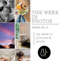 the week in photos // cait's plate