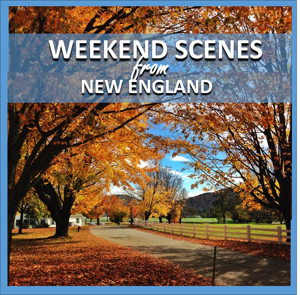 weekend scenes: from new england // cait's plate