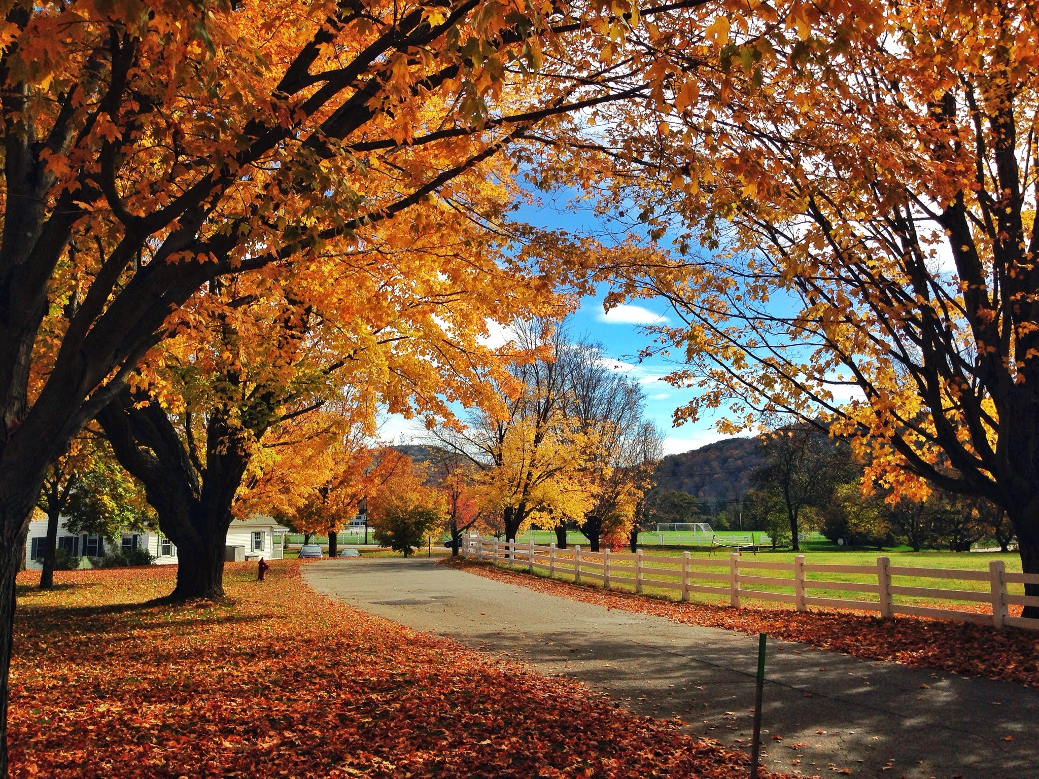 25 Fun Fall Things To Do In New England Cait s Plate