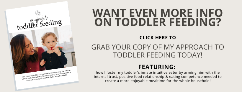 my approach to toddler feeding ebook // cait's plate